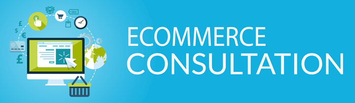 ecommerce consulting